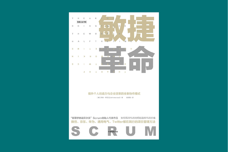 《 敏捷革命 》：快速冲刺，结果反馈，及时调整
