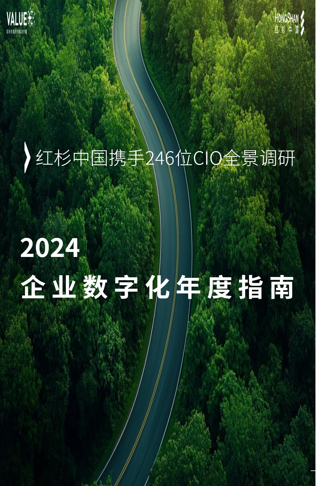 《2024年企业数字化年度指南》