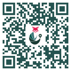 宁波安智狐信息技术有限公司